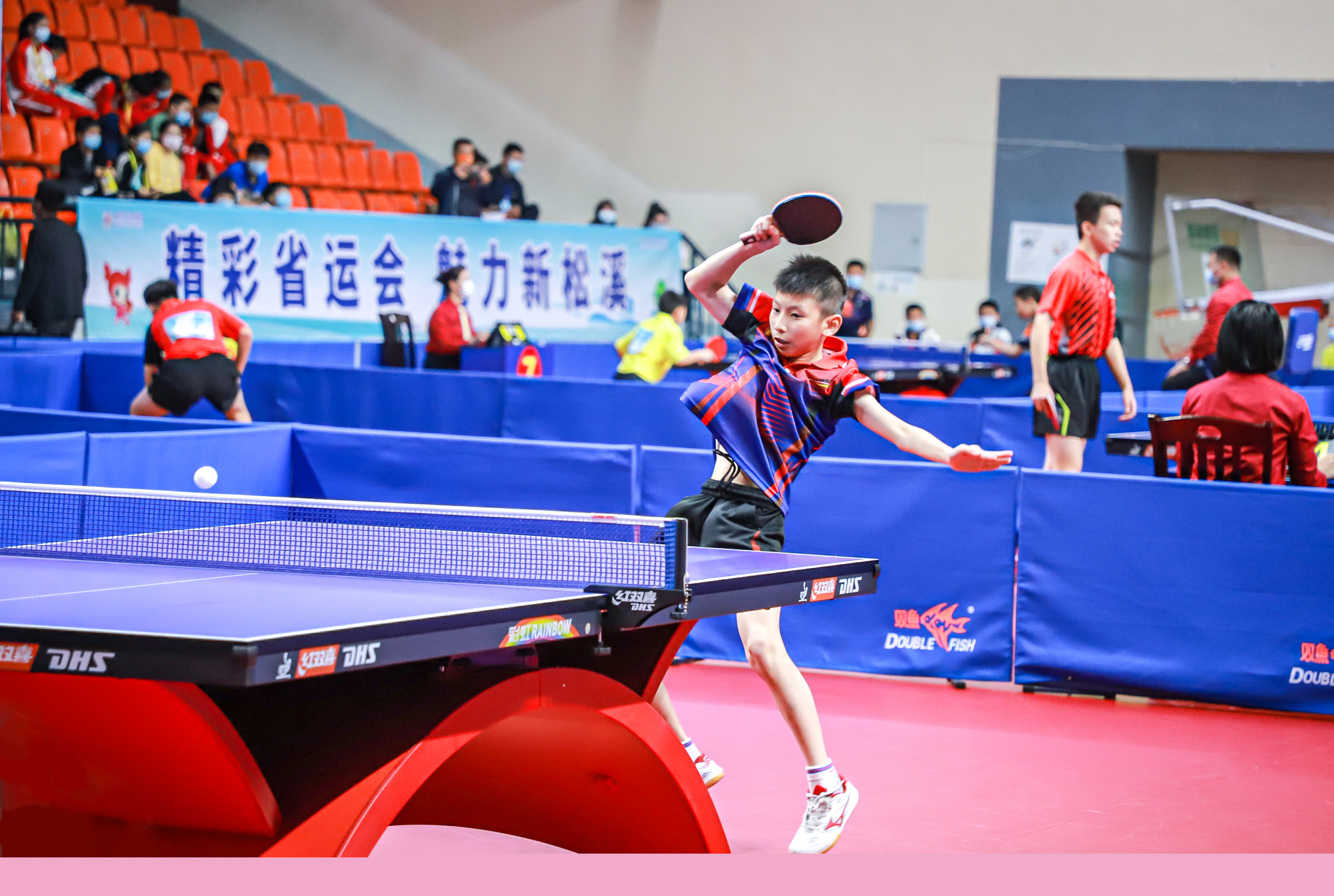 命力的社区 命力的社区